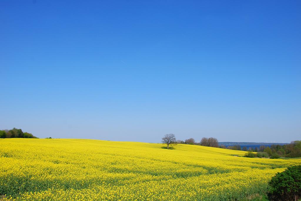 Meine Ecke 1 Eckernförde Zewnętrze zdjęcie